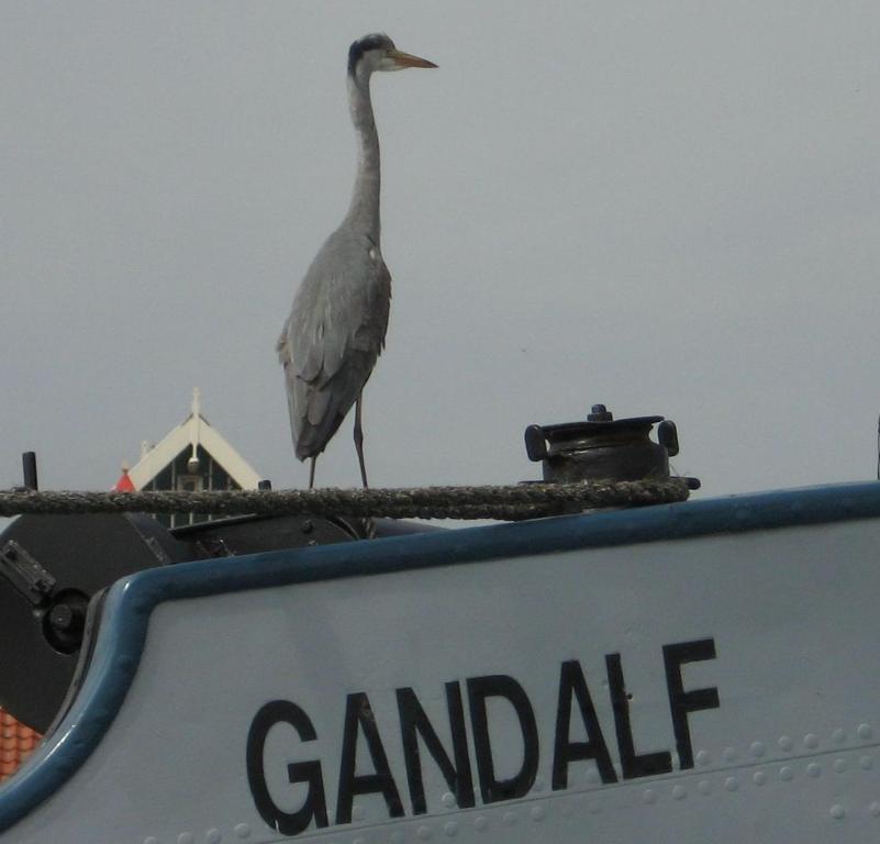 Hotelschip Gandalf Амстердам Экстерьер фото